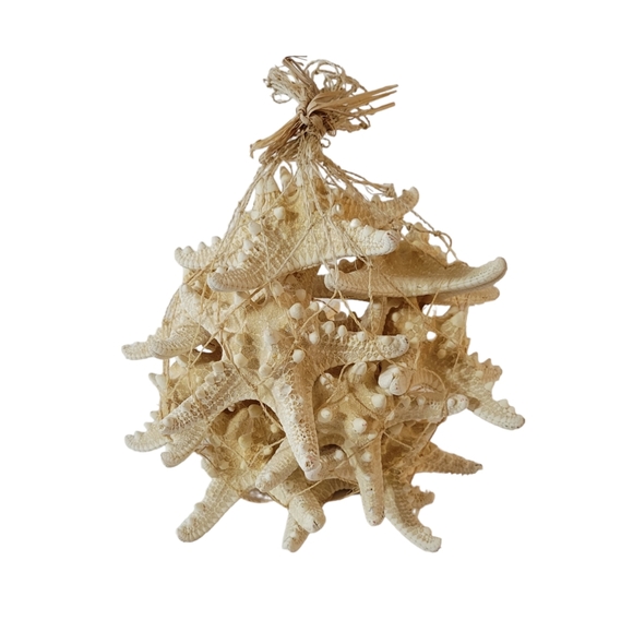 White Knobby Starfish New Set of 12 - Picture 1 of 4